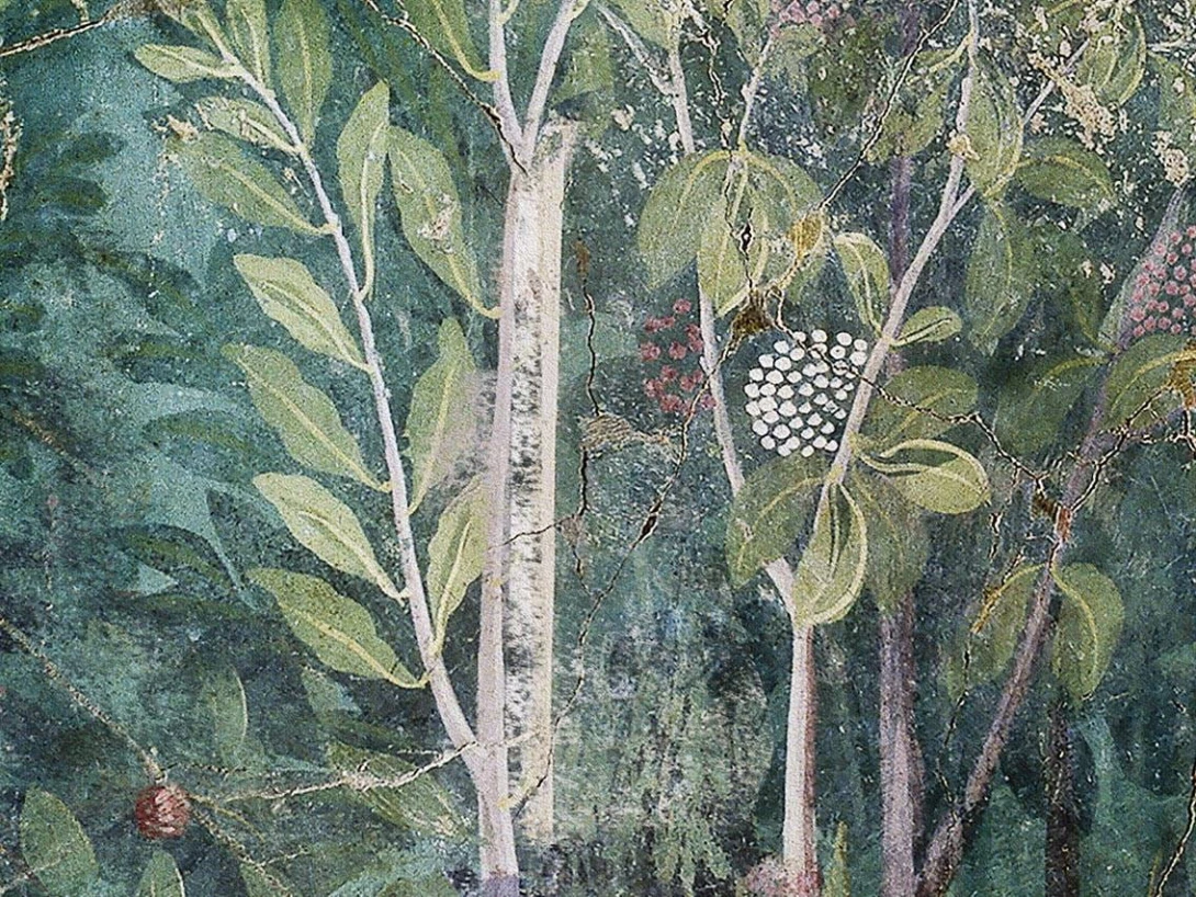 Fototapeta Wallpepper Viridarium