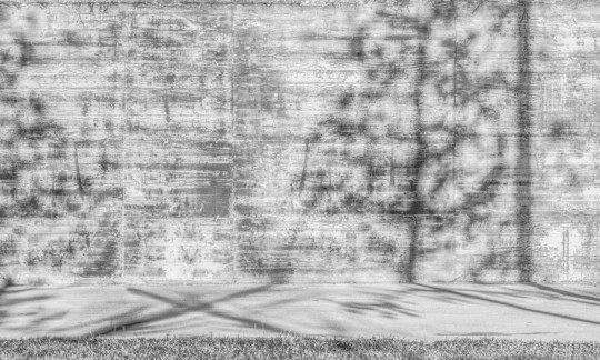 Fototapeta Wallpepper Presenze riflesse