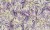 9c7da082a8e66974cbc1d82e5e1a1808