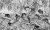 e33184cfa151629875b01092d4b0245f