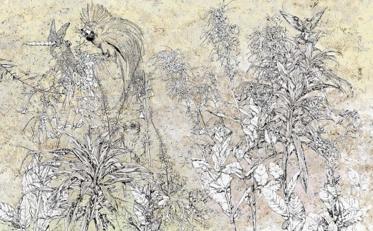 Fototapeta Wallpepper Ink garden