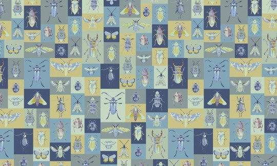 Fototapeta Wallpepper Bugs B