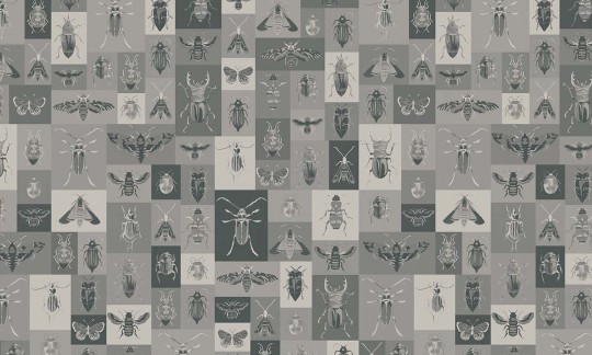 Fototapeta Wallpepper Bugs C