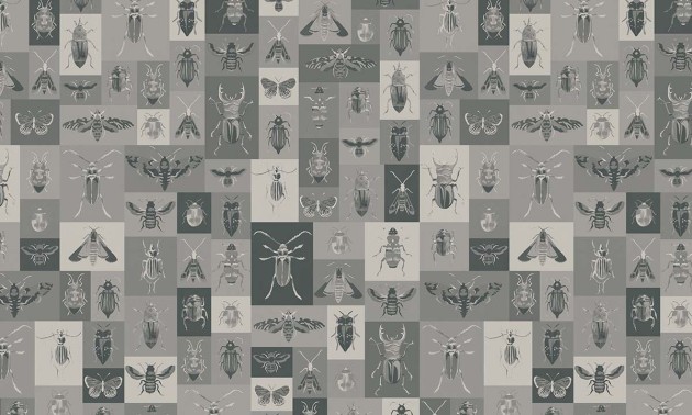 Fototapeta Wallpepper Bugs C