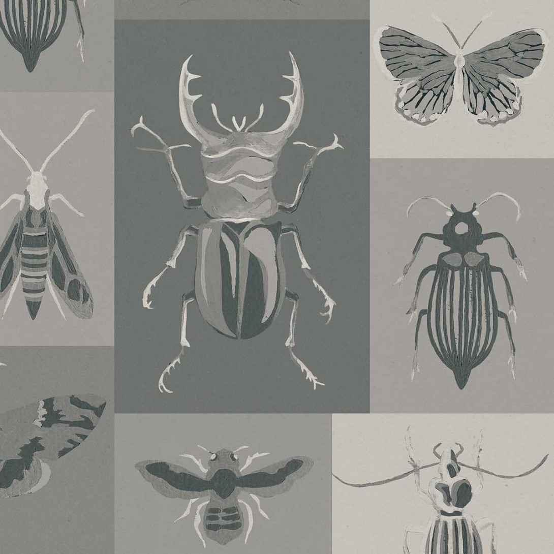 Fototapeta Wallpepper Bugs C