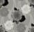 d5fa46cdff37c7a9406e70c349d1ea16
