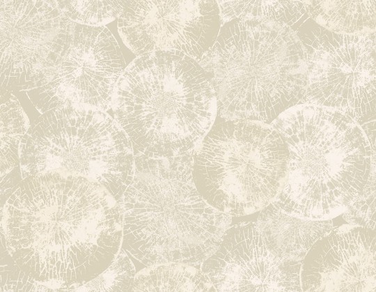 Tapeta Wallquest Canvas Textures OT71305 Petrified Wood