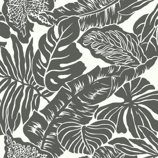 Tapeta York Ashford Whites SW7433 Valdivian