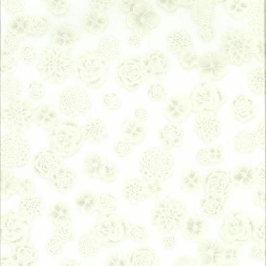 Tapeta York Ashford Whites SW7475 Posy