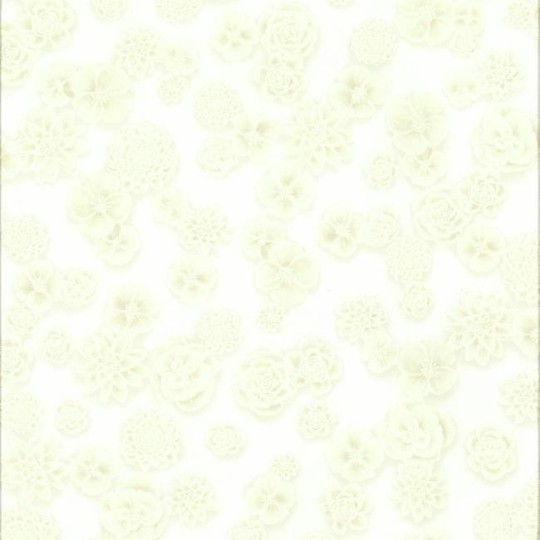 Tapeta York Ashford Whites SW7476 Posy