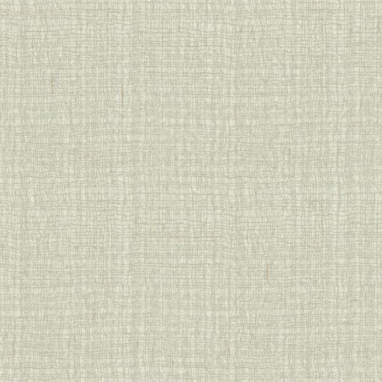 Tapeta York Aviva Stanoff VA1251 Entwined