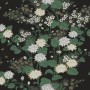 30e8078f81576315bfb9409d15c59f53