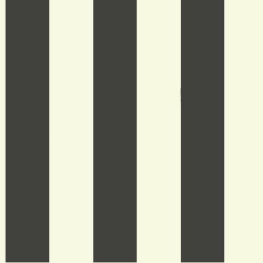 Tapeta York Magnolia Home ST5691MH Awning Stripe