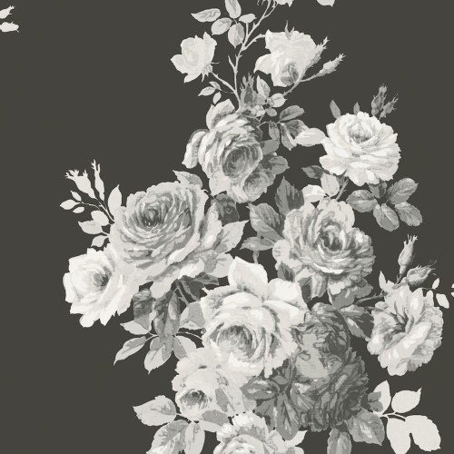 0d17d5d4c24bcfffa9fc601eadf02a38