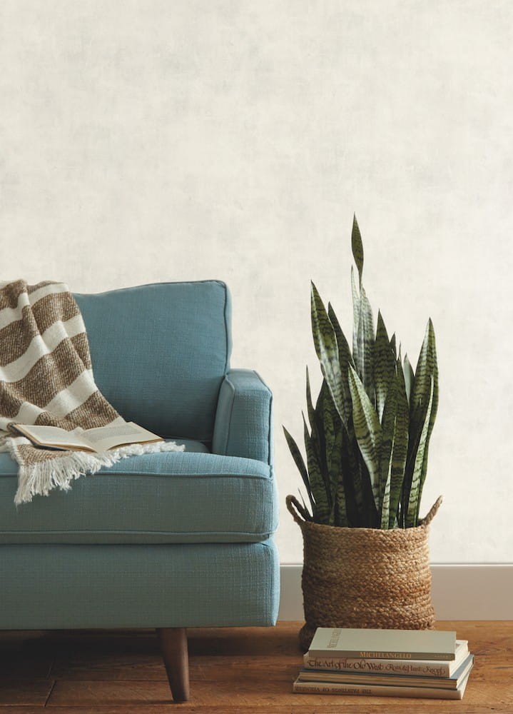 Tapeta York Magnolia Home vol. 2 ME1545 Plaster Finish