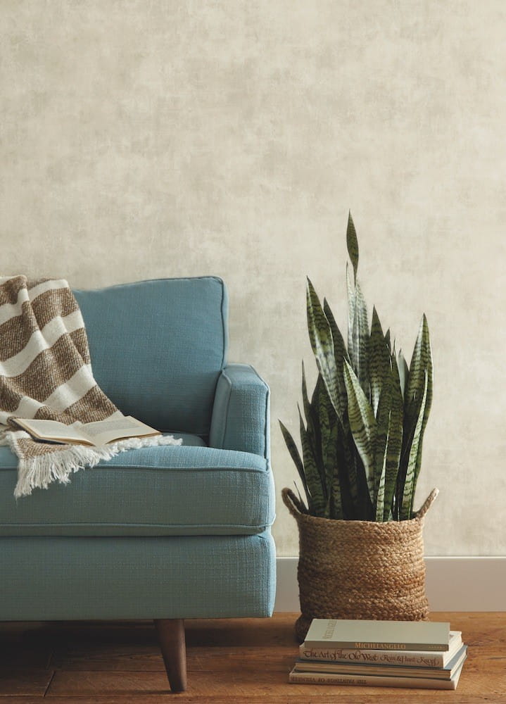 Tapeta York Magnolia Home vol. 2 ME1547 Plaster Finish