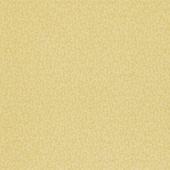 e4fcfdc46c524c286f48dbac55d73467