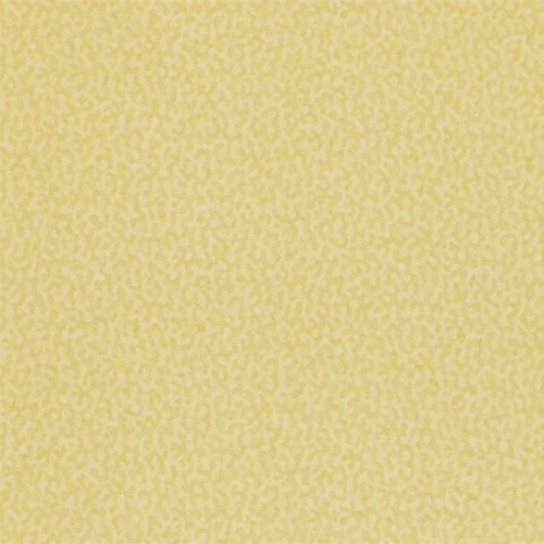 e4fcfdc46c524c286f48dbac55d73467