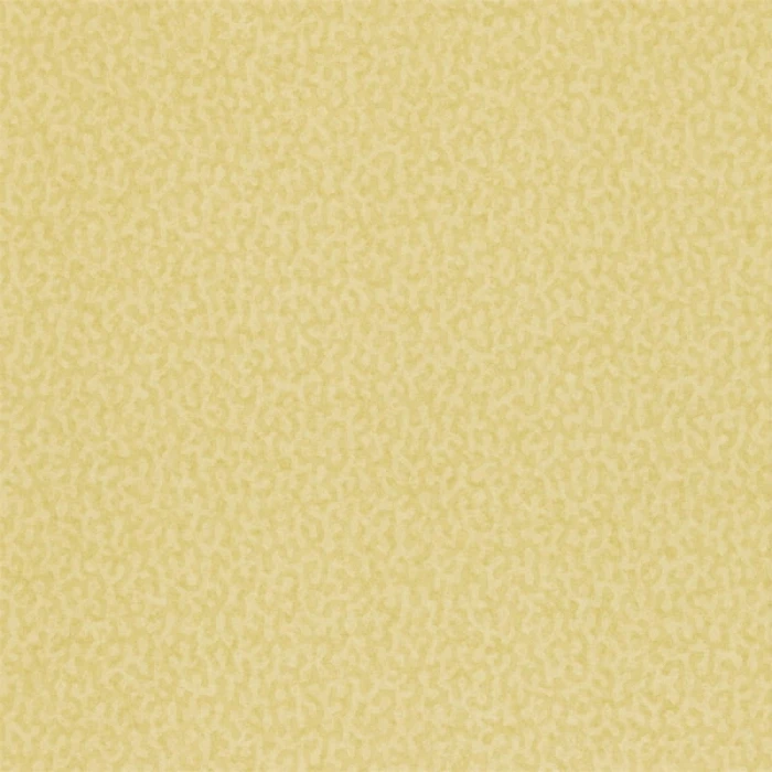 e4fcfdc46c524c286f48dbac55d73467