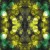 15e3c25def54447669b56682869c4ca6