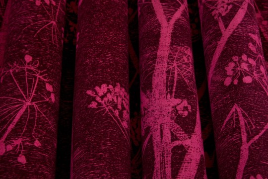 Tkanina Cole & Son The Contemporary Collection - Fabrics F111/5017 Cow Parsley Velvet