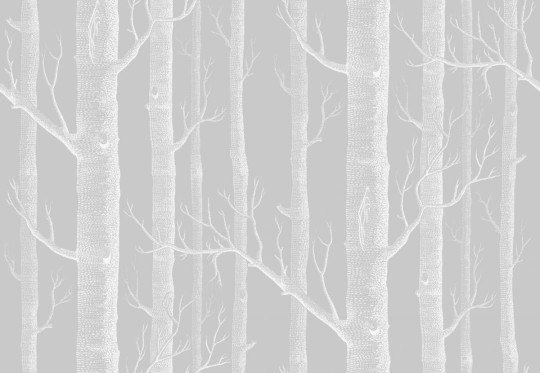 Tkanina Cole & Son The Contemporary Collection - Fabrics F111/7025LU Woods Linen Union