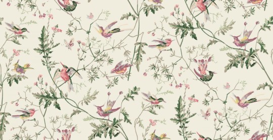Tkanina Cole & Son The Contemporary Collection - Fabrics F62/1001 Hummingbirds 100% Bawełna