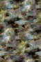 ff8a62f926eae0b9c1b9f1b18e848acc