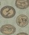 101d321da79104876cc7cd216fcc2a6b