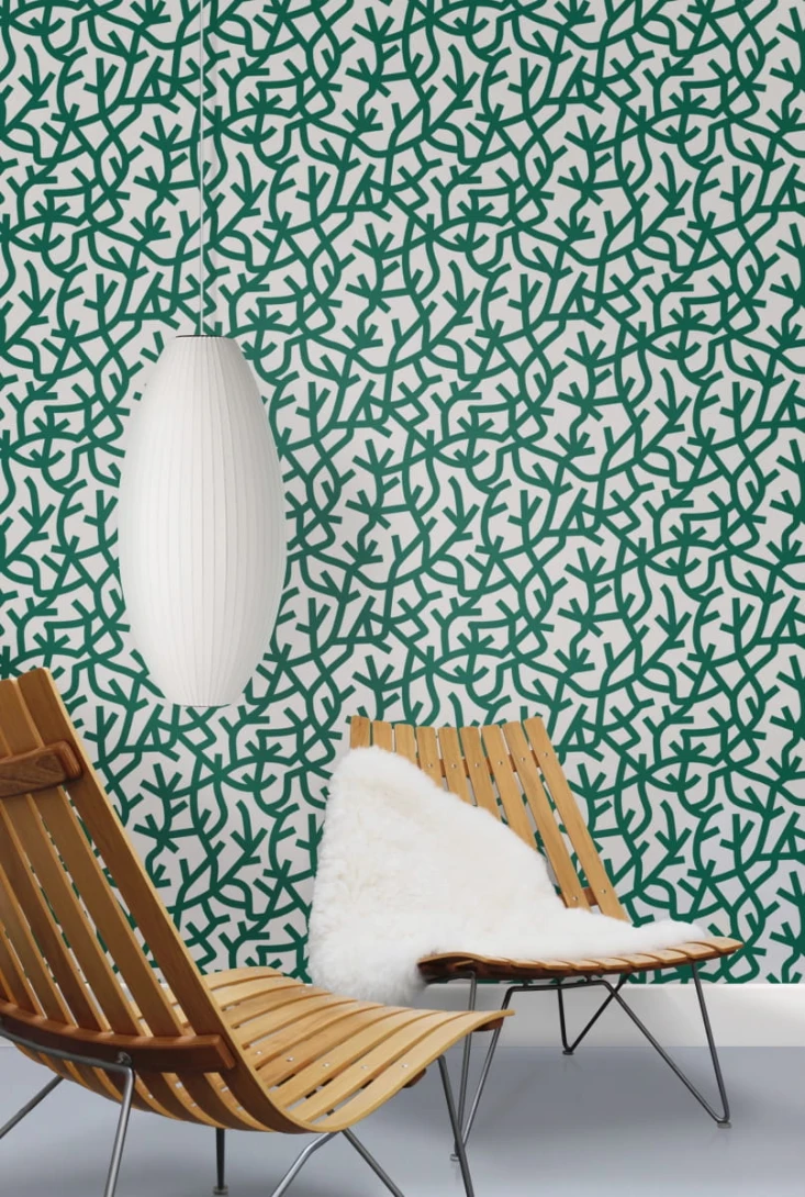 Tapeta Mini Moderns A Forest AZDPT037DF Douglas Fir