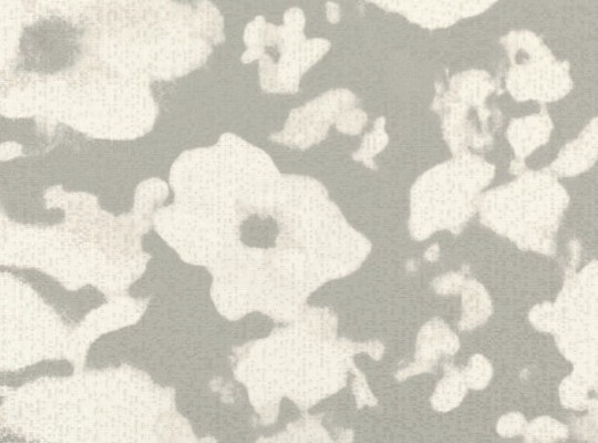 Tapeta Black Edition Ruva W914/02 Tungsten