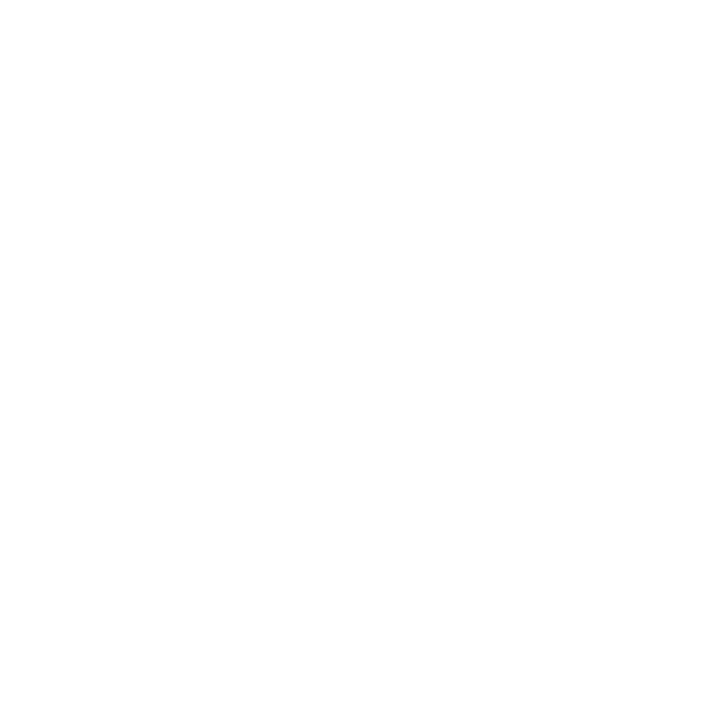 e6762def3f4cebd0c862e09905a11933