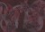 81a81d3c88668d8970cad02f4dca771c