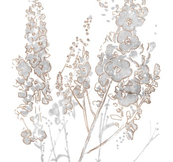 3a657391186ab0c0614cc27eb05a0b4f