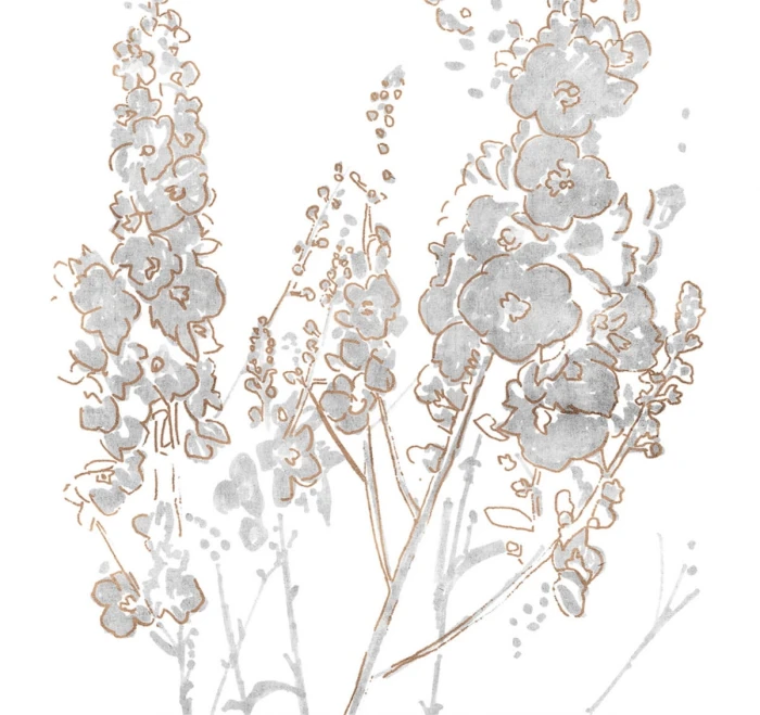 3a657391186ab0c0614cc27eb05a0b4f