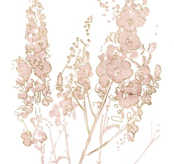 a440abb40f2b4b9c6c2c56886954521e