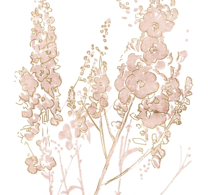 a440abb40f2b4b9c6c2c56886954521e