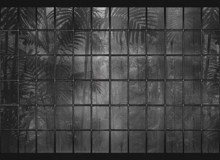 8eb20412ecfa1e8ccd5a314eef9c5b05