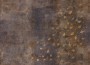 a44d51ad8e78f25764bca4f27a937463