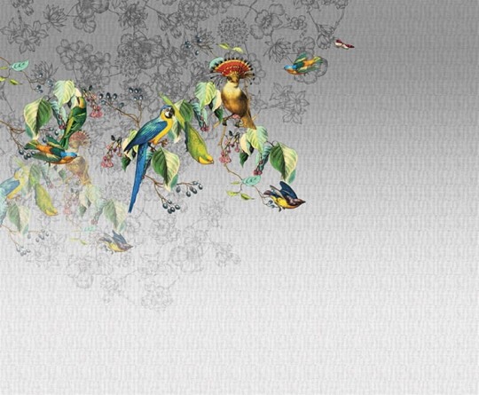 Fototapeta London Art VALLERY'S PARROT 13VP-02