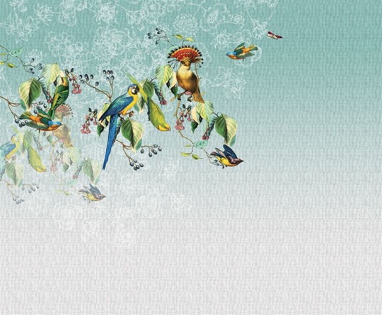 Fototapeta London Art VALLERY'S PARROT 13VP-03