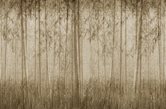 Fototapeta London Art SAUVAGE 12SV-01