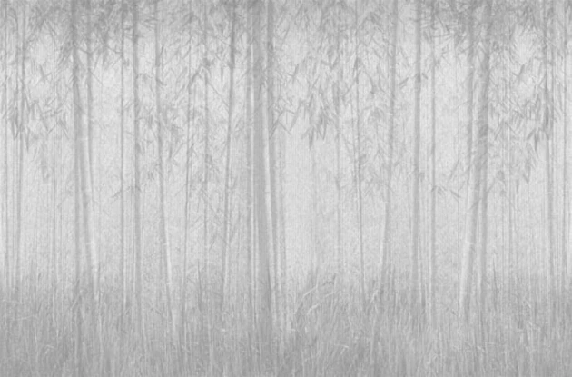 Fototapeta London Art SAUVAGE 12SV-03