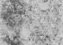 ac11ca4199f9e56abdb5c41b56904b50