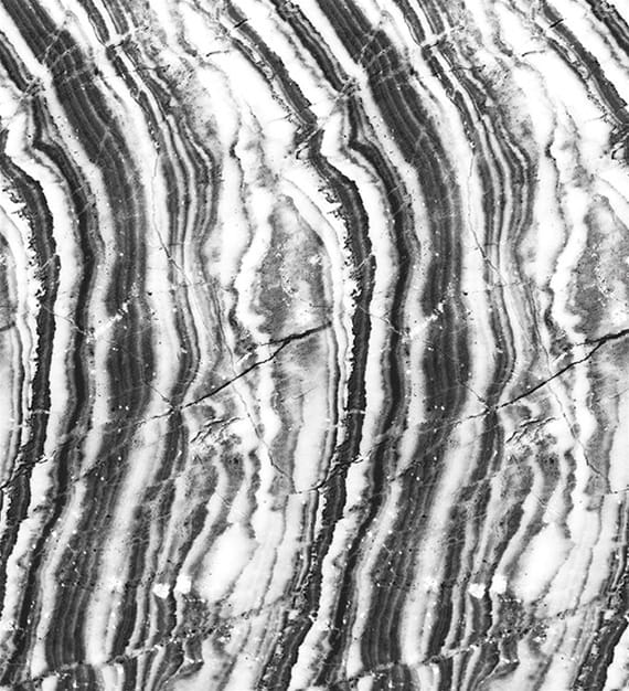 Fototapeta London Art VEINS 14037-03