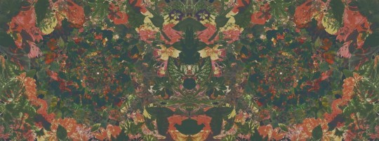 London Art 17003-01 Exclusive 17 Flower Power - mural w kwiaty