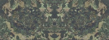 87cdd5623ad7ed7b679d34e60897bfff