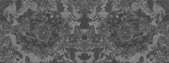 Fototapeta London Art Flower Power 17003-03