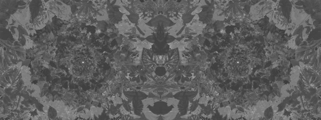 Fototapeta London Art Flower Power 17003-03