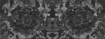 f1303a92b0d1e9647d0154af200cc6a5